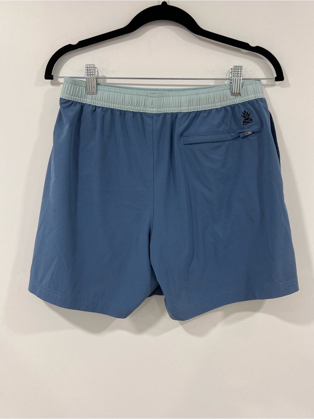 Chubbies 5.5 inseam Shorts - Picture 2 of 4